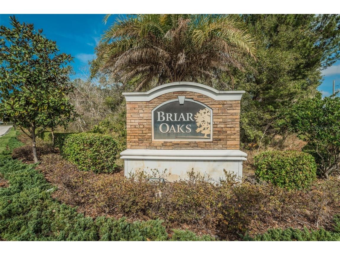 10106 Tolman Drive Hudson FL 34667 W7875047 image47