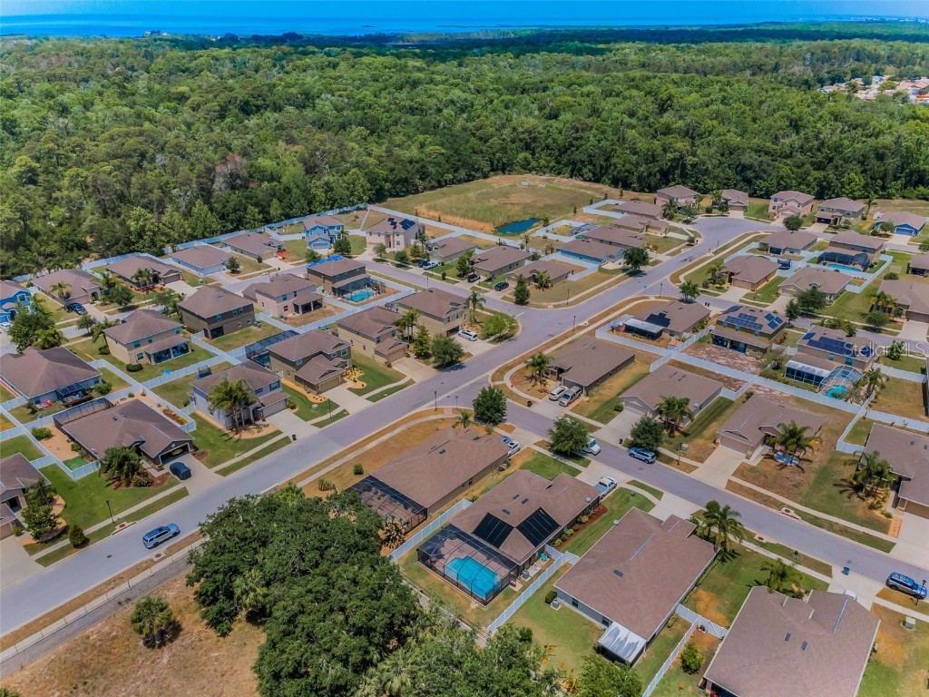 10106 Tolman Drive Hudson FL 34667 W7875047 image55