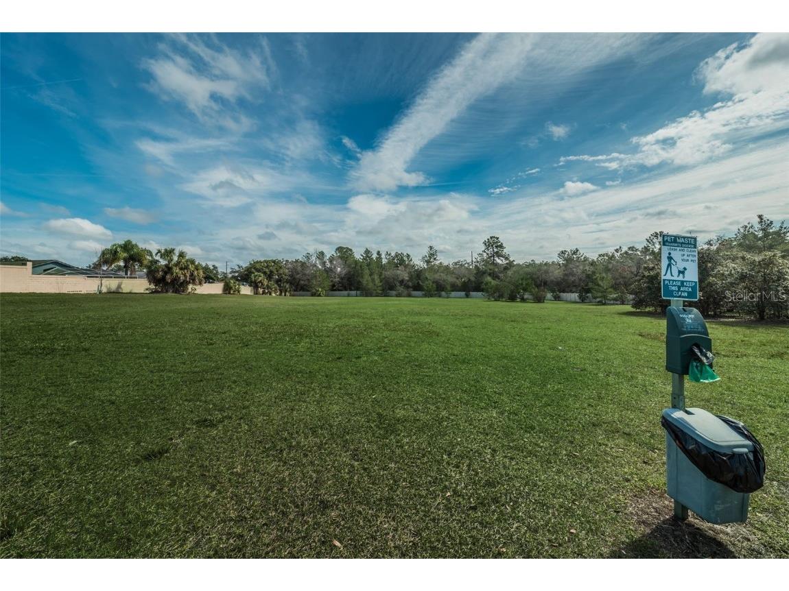 10106 Tolman Drive Hudson FL 34667 W7875047 image59