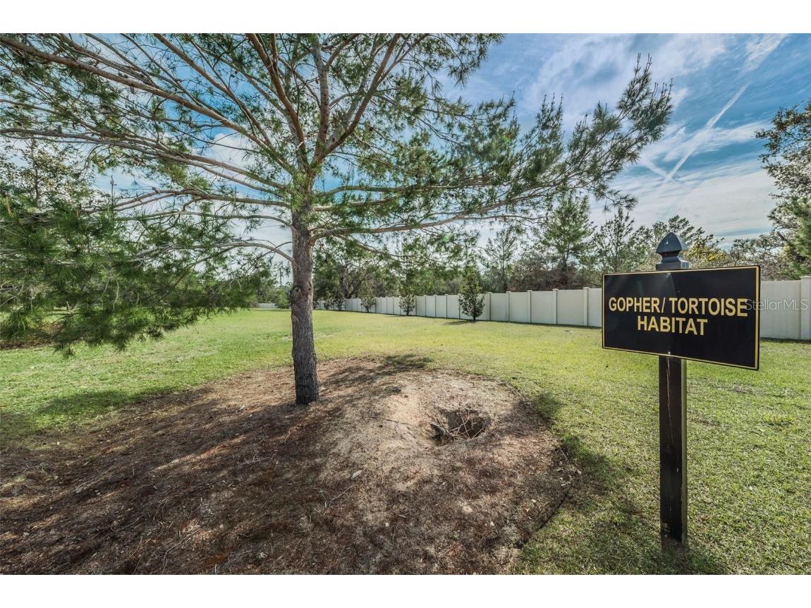 10106 Tolman Drive Hudson FL 34667 W7875047 image60