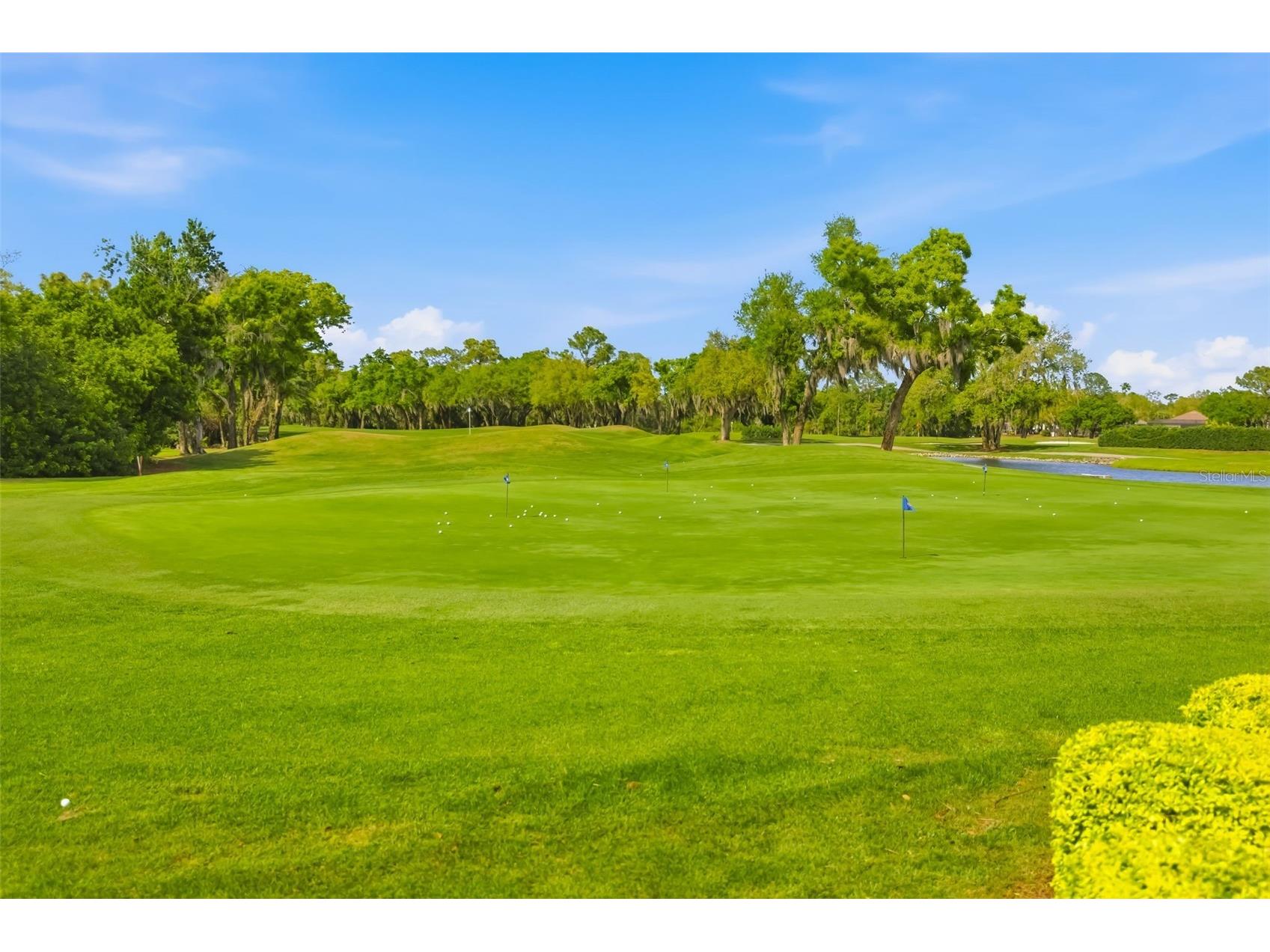 10107 Carnoustie Place Bradenton FL 34211 TB8488192 image84