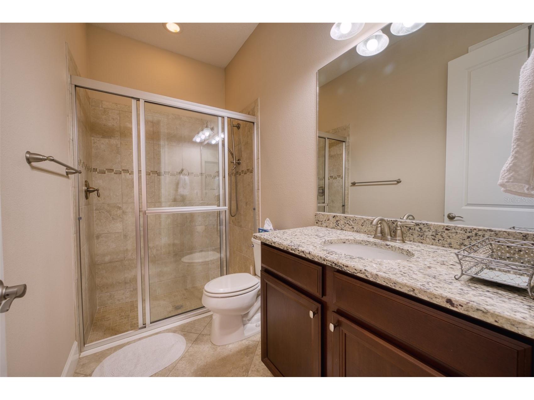 10107 Wicker Park Place Palmetto FL 34221 A4684482 image38