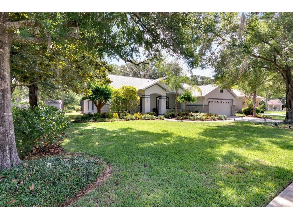 10108 Bell Creek Drive Riverview FL 33569 T3525584 image1