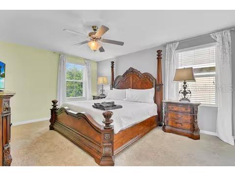 10108 Hawk Storm Avenue Tampa FL 33610 TB8494620 image15