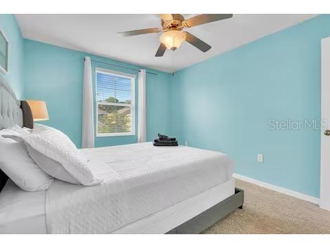 10108 Hawk Storm Avenue Tampa FL 33610 TB8494620 image16