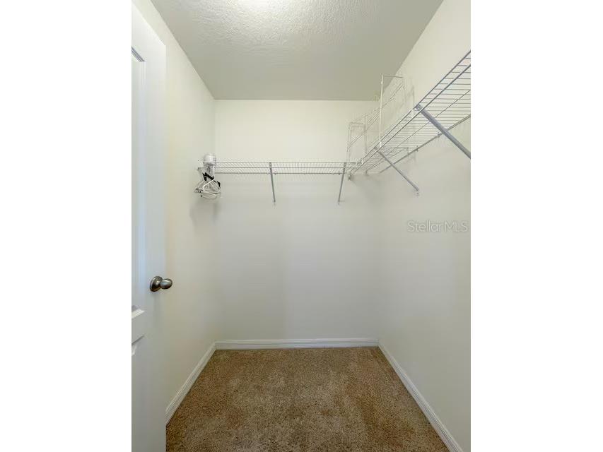 10108 Hawk Storm Avenue Tampa FL 33610 TB8494620 image19
