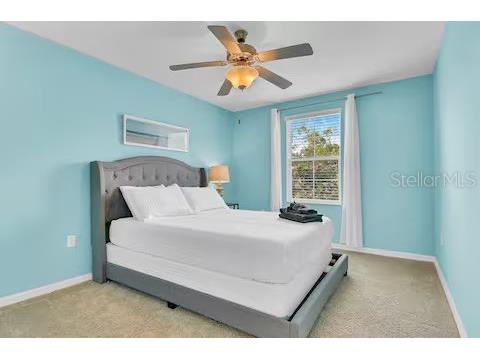 10108 Hawk Storm Avenue Tampa FL 33610 TB8494620 image22