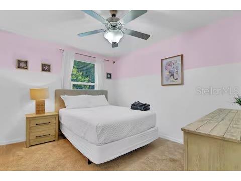 10108 Hawk Storm Avenue Tampa FL 33610 TB8494620 image26