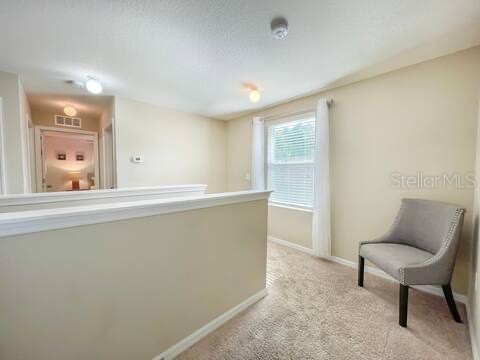 10108 Hawk Storm Avenue Tampa FL 33610 TB8494620 image33