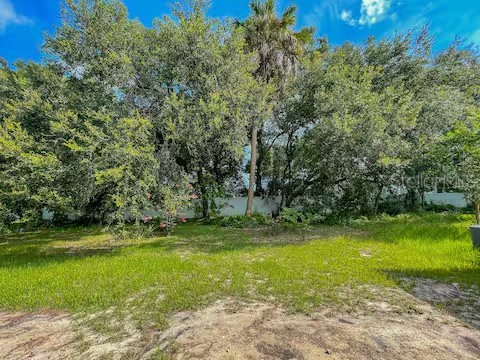 10108 Hawk Storm Avenue Tampa FL 33610 TB8494620 image40