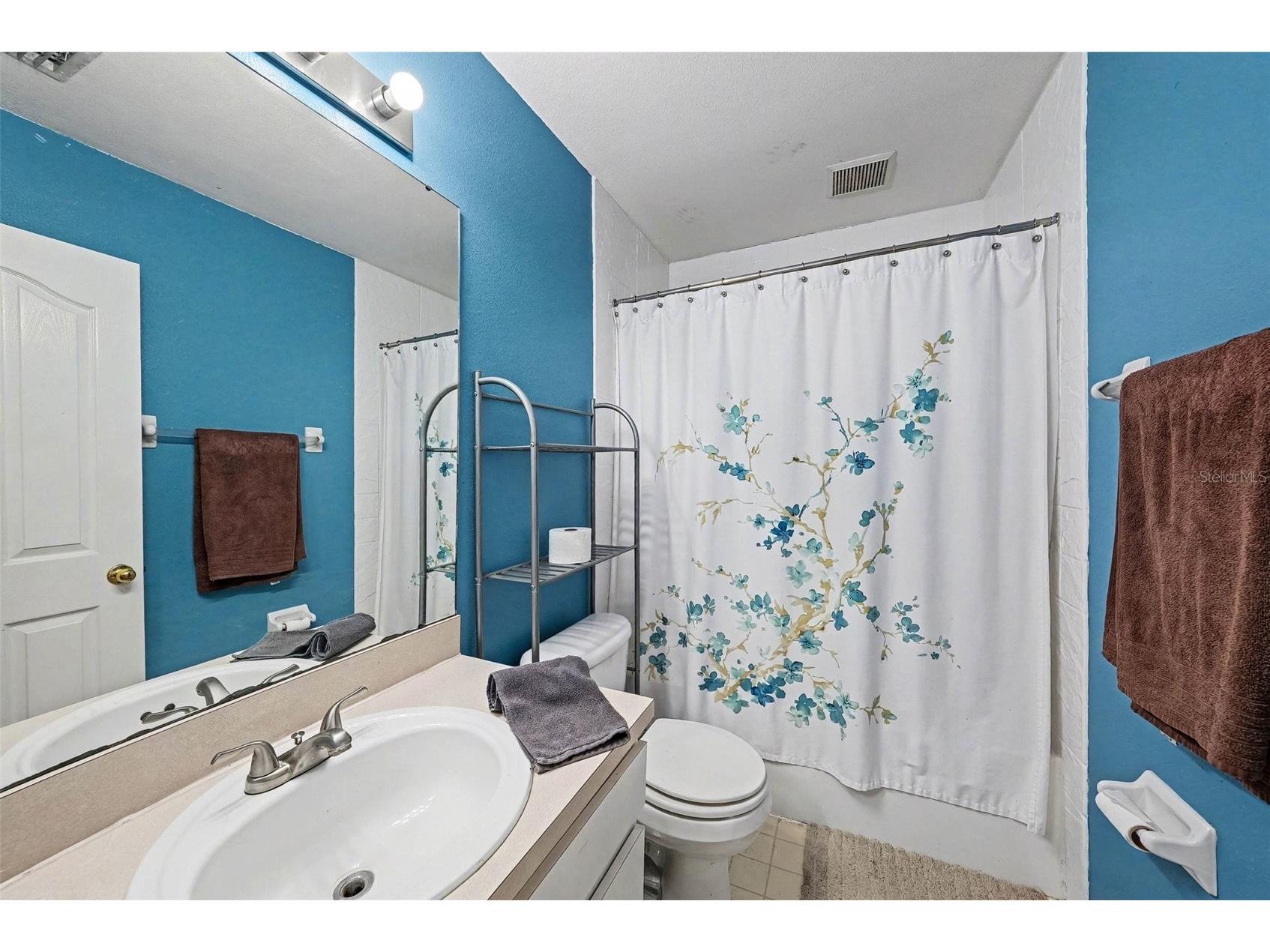 10109 Belleville Place Tampa FL 33624 TB8476454 image11