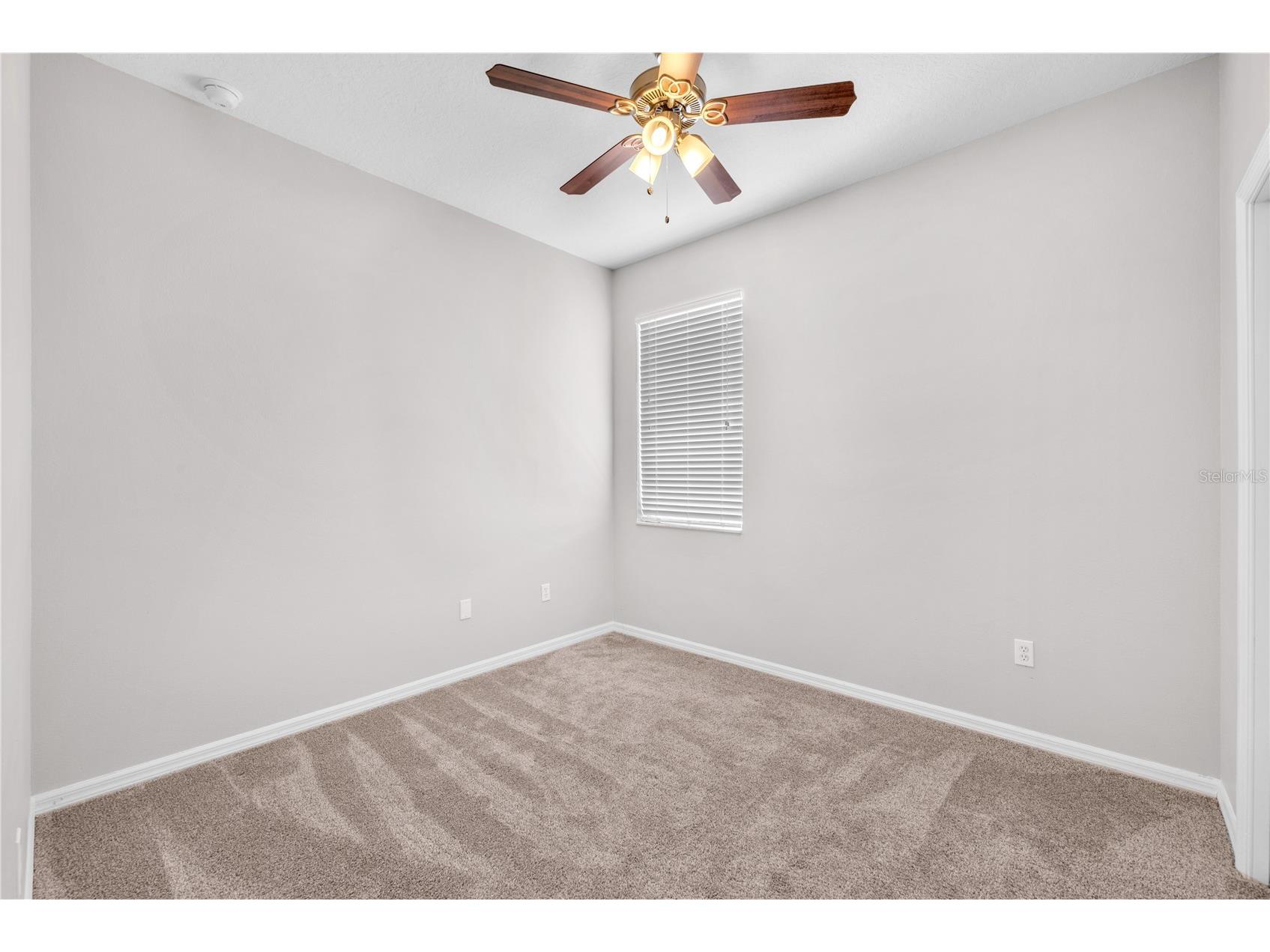 10109 Celtic Ash Drive Ruskin FL 33573 TB8503898 image14
