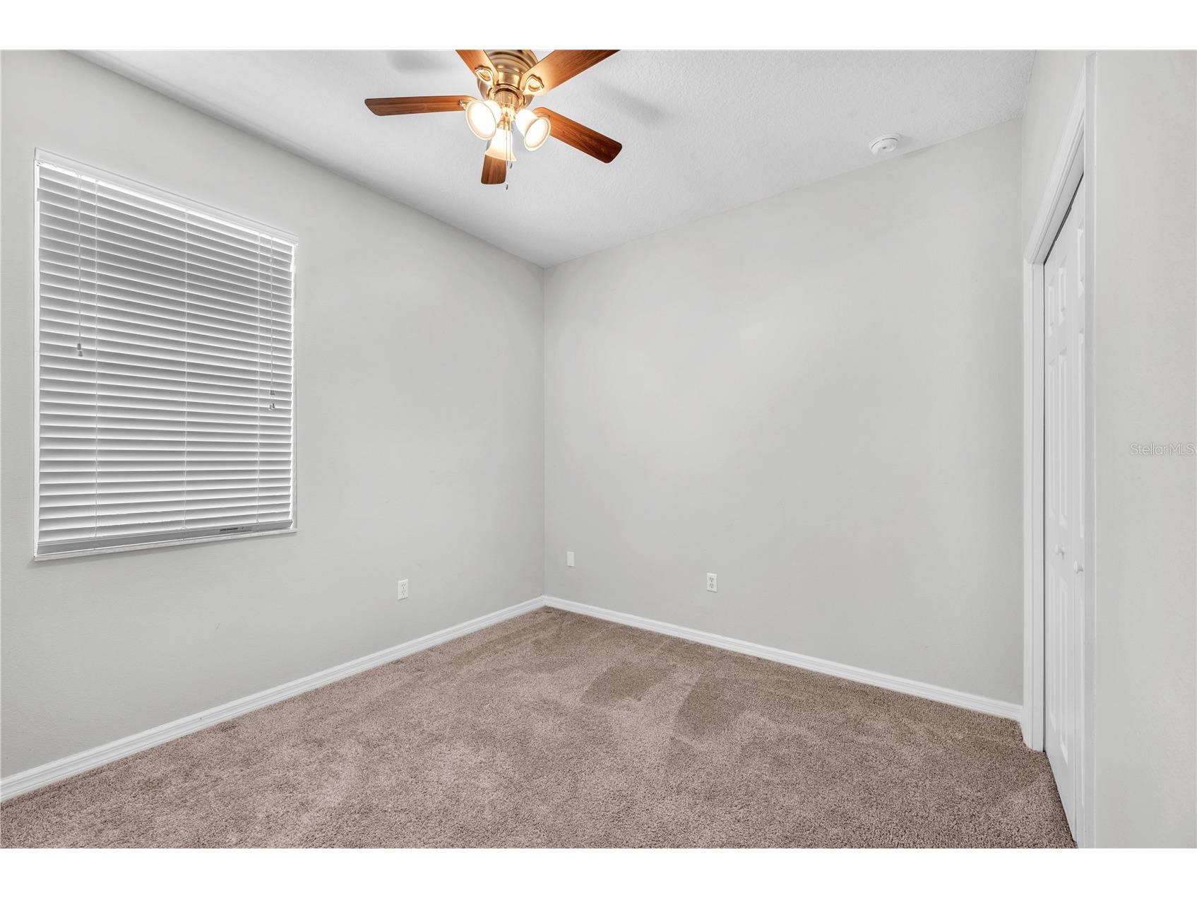 10109 Celtic Ash Drive Ruskin FL 33573 TB8503898 image15