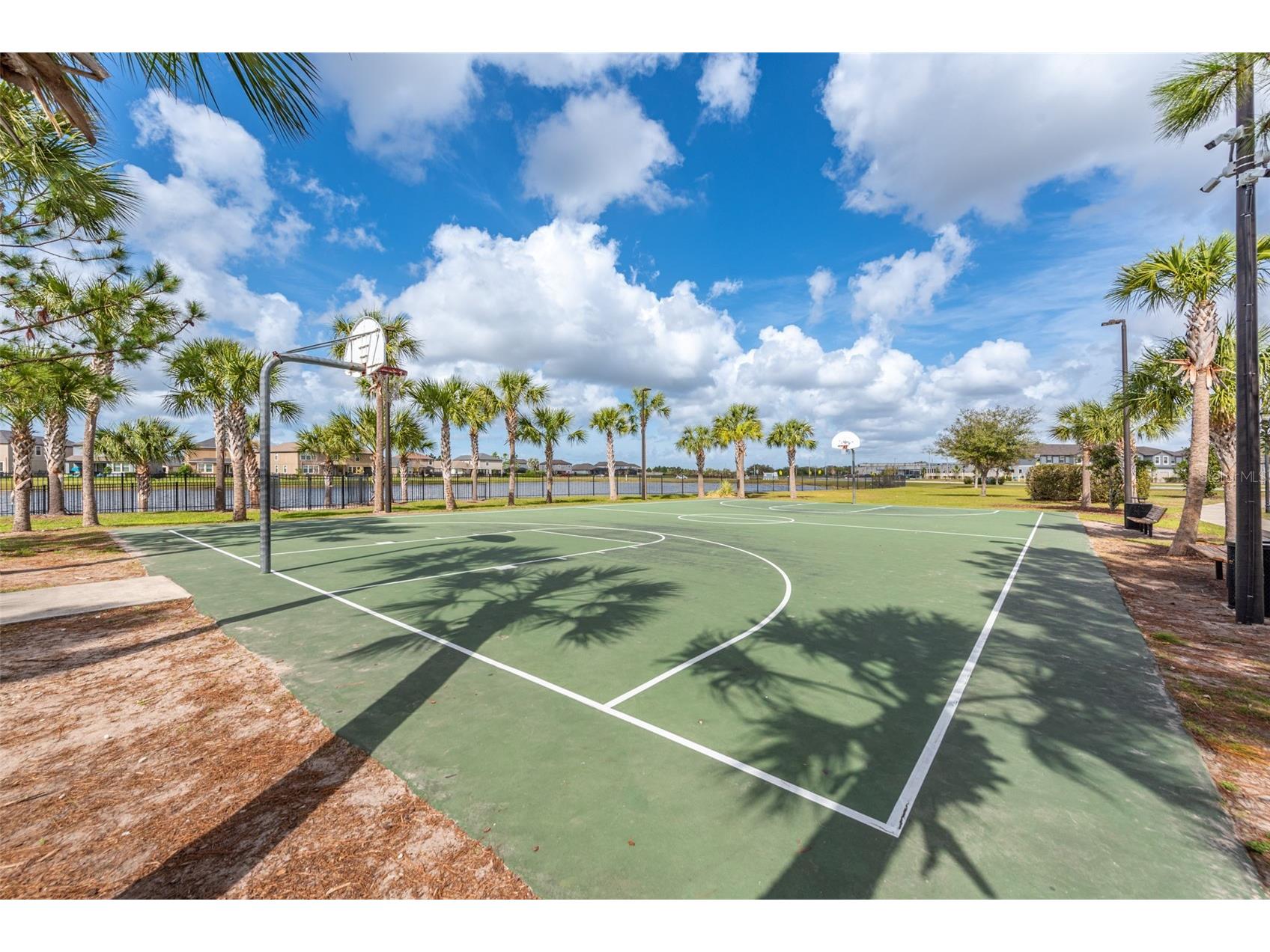 10109 Celtic Ash Drive Ruskin FL 33573 TB8503898 image37
