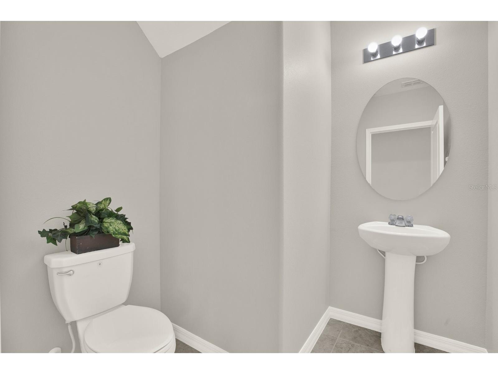10109 Crested Fringe Drive Riverview FL 33578 TB8521253 image14