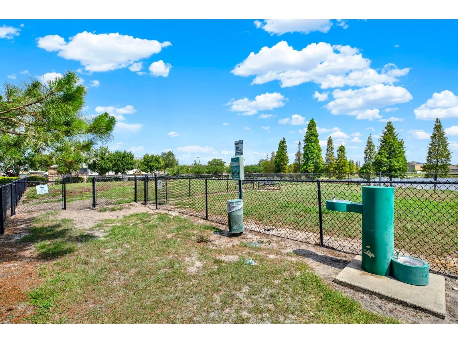 10109 Crested Fringe Drive Riverview FL 33578 TB8521253 image28
