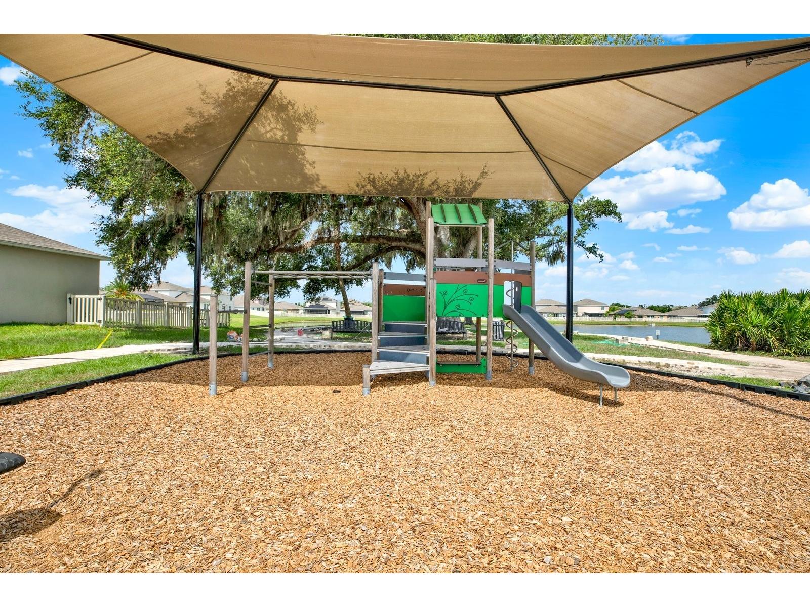 10109 Crested Fringe Drive Riverview FL 33578 TB8521253 image29