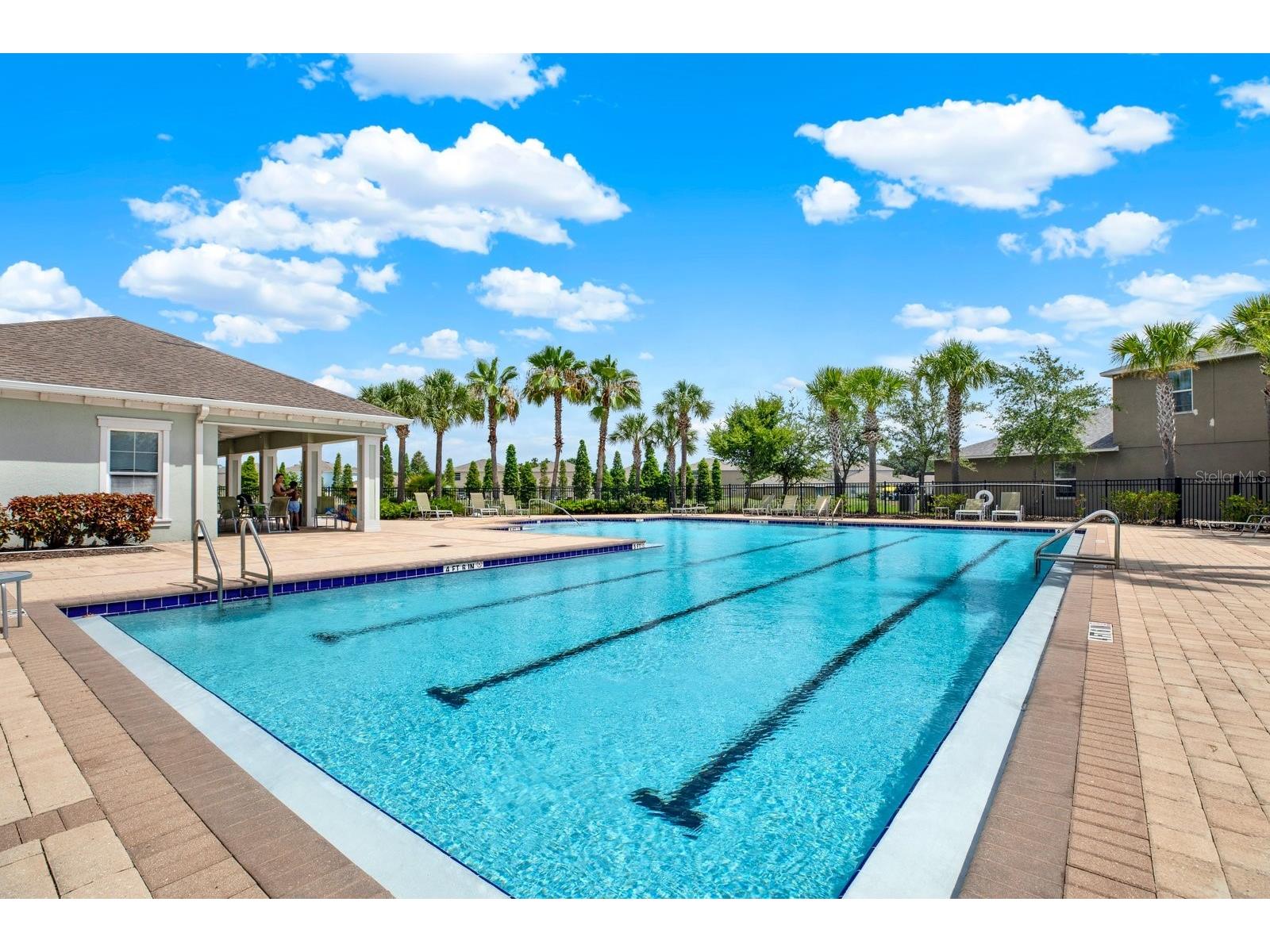 10109 Crested Fringe Drive Riverview FL 33578 TB8521253 image9
