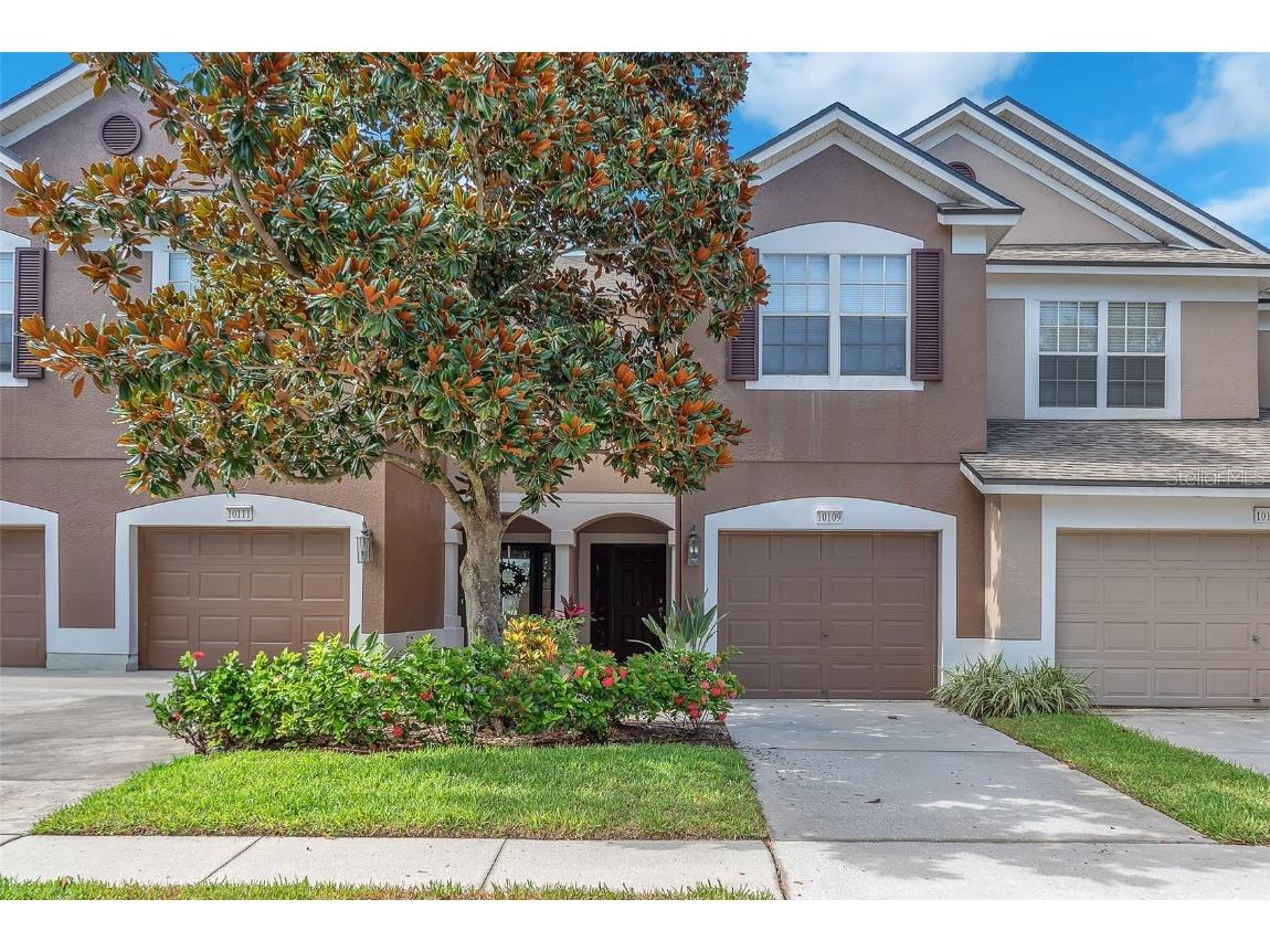 10109 Haverhill Ridge Drive Riverview FL 33578 TB8409201 image1