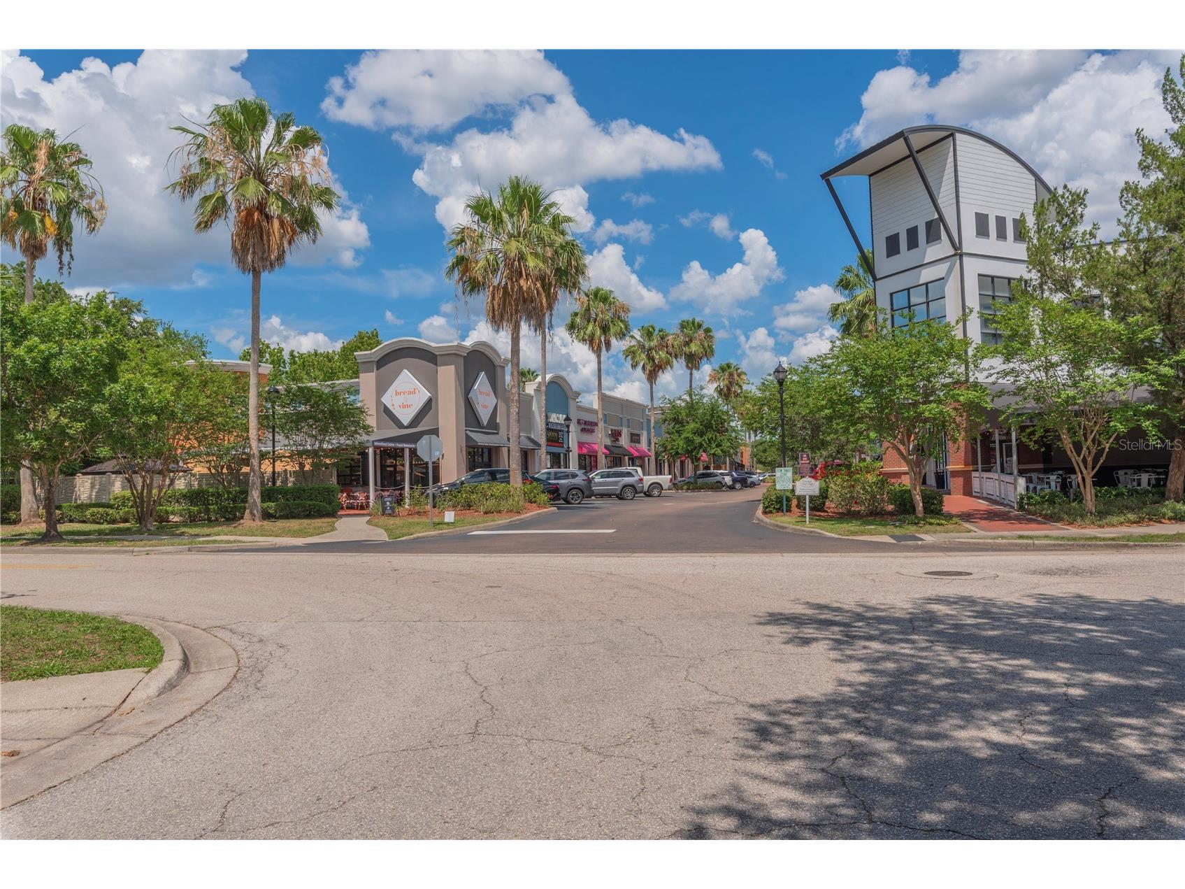 10109 Hayfield Way Tampa FL 33626 TB8511973 image35