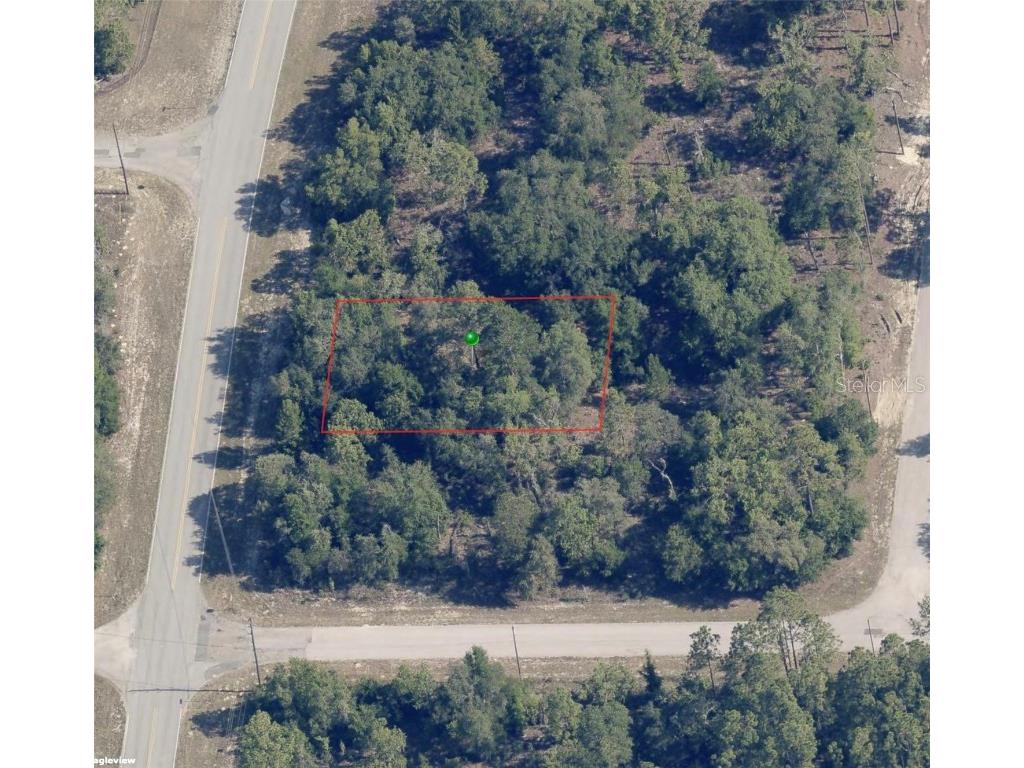 10109 N Elkcam Boulevard Citrus Springs FL 34433 TB8335077 image1