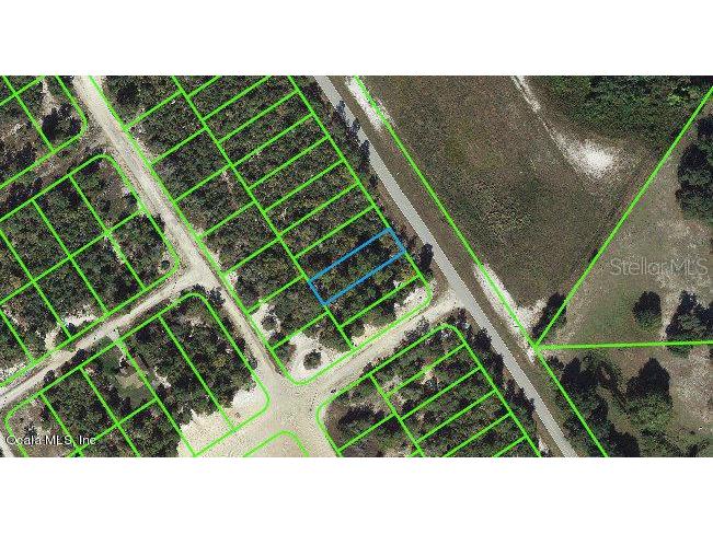 1011 Cr 29 Lake Placid FL 33852 OM542125 image1