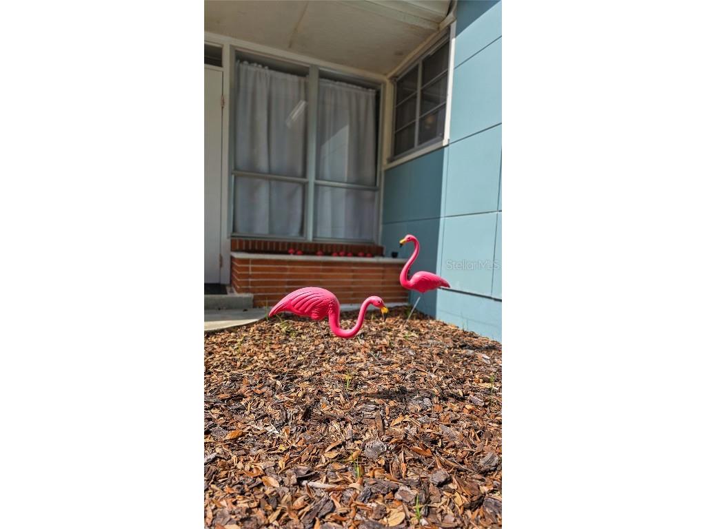 1011 E Crenshaw Street Tampa FL 33604 TB8413794 image11