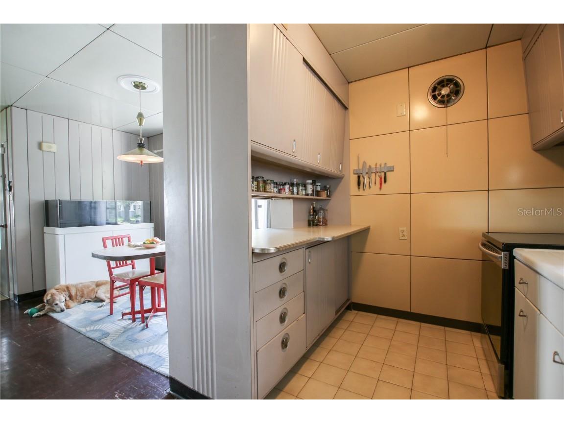 1011 E Crenshaw Street Tampa FL 33604 TB8413794 image32