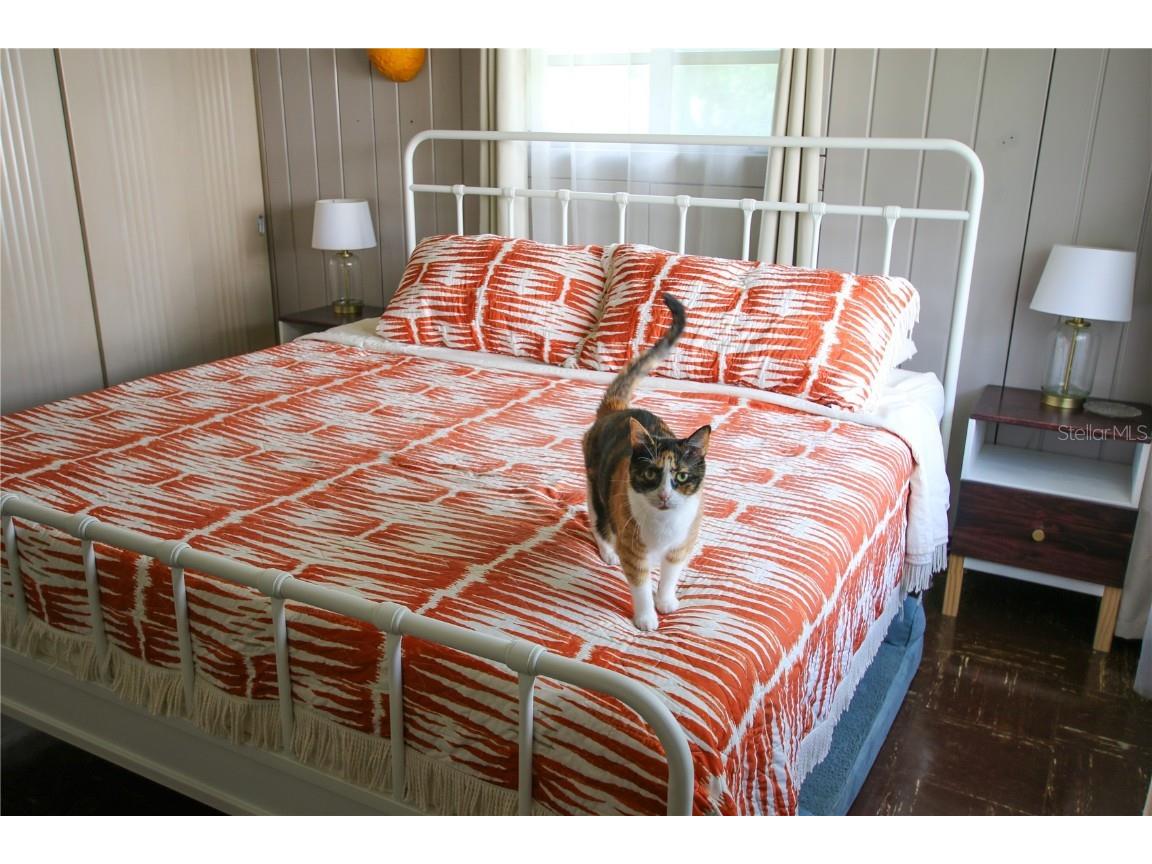 1011 E Crenshaw Street Tampa FL 33604 TB8413794 image42