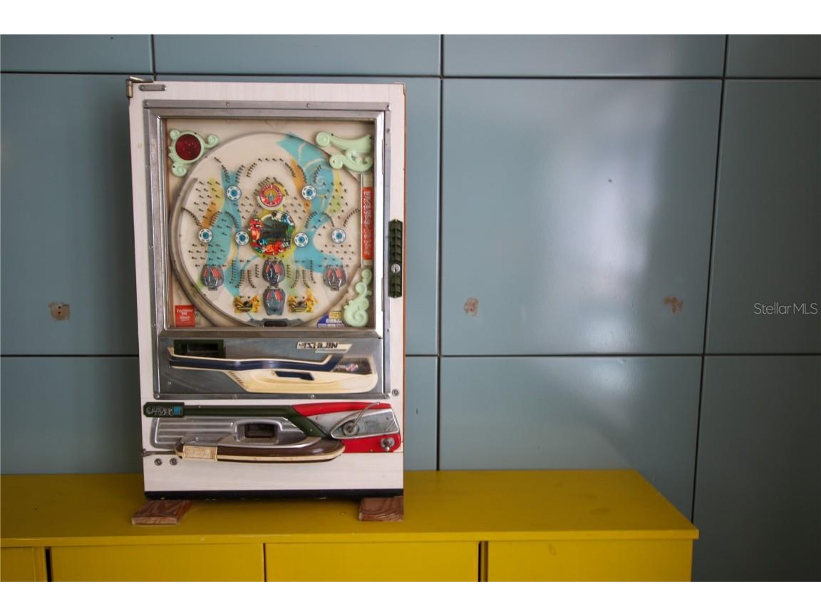 1011 E Crenshaw Street Tampa FL 33604 TB8413794 image61