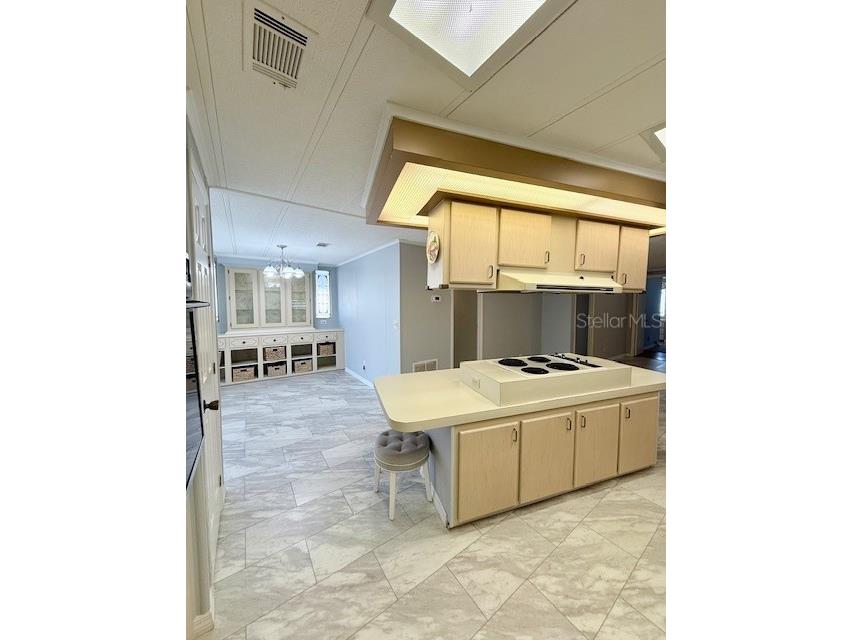 1011 Elizabeth Lane Lakeland FL 33809 L4958042 image10