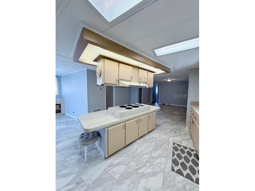 1011 Elizabeth Lane Lakeland FL 33809 L4958042 image11