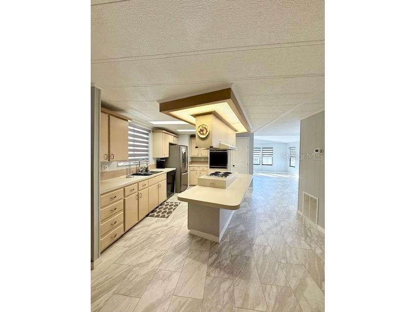 1011 Elizabeth Lane Lakeland FL 33809 L4958042 image8