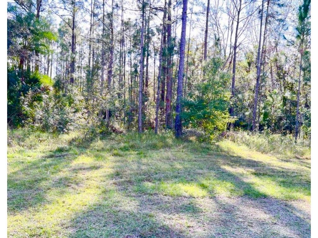 1011 Indian Lake Drive Indian Lake Estates FL 33855 TB8363160 image1