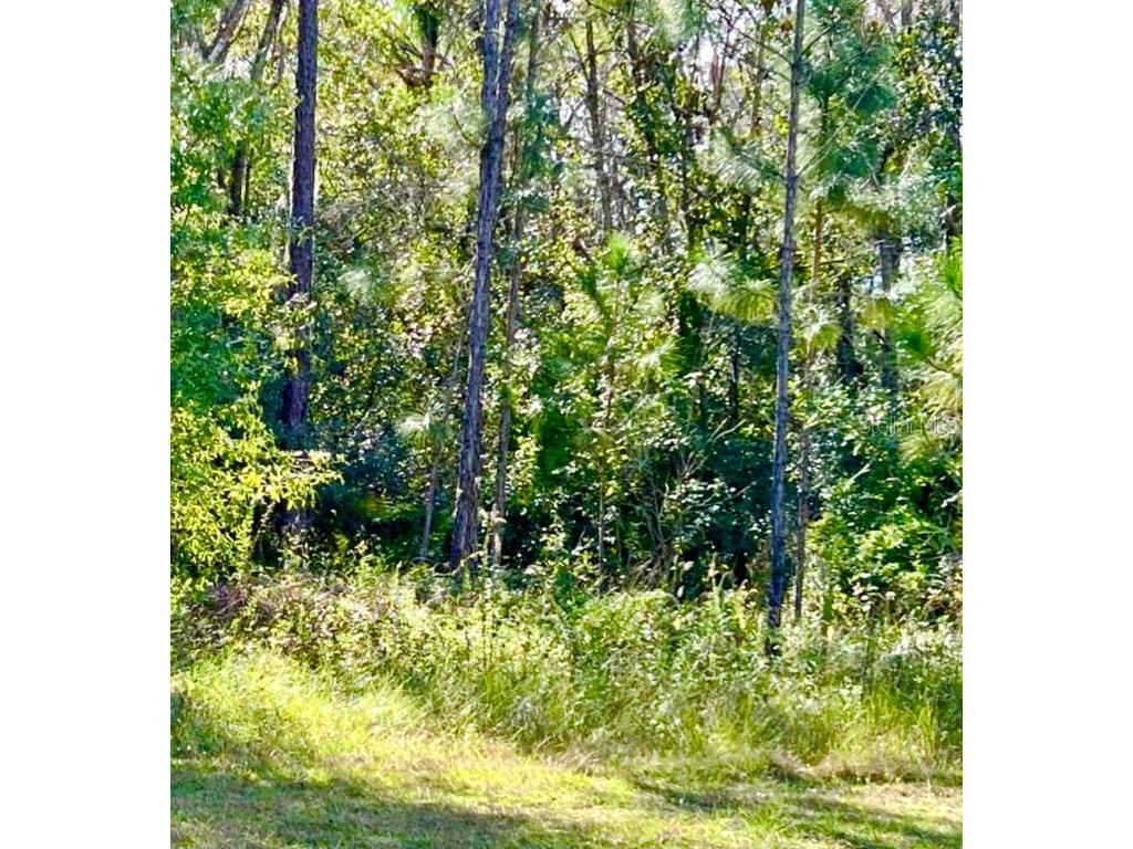 1011 Indian Lake Drive Indian Lake Estates FL 33855 TB8363160 image2