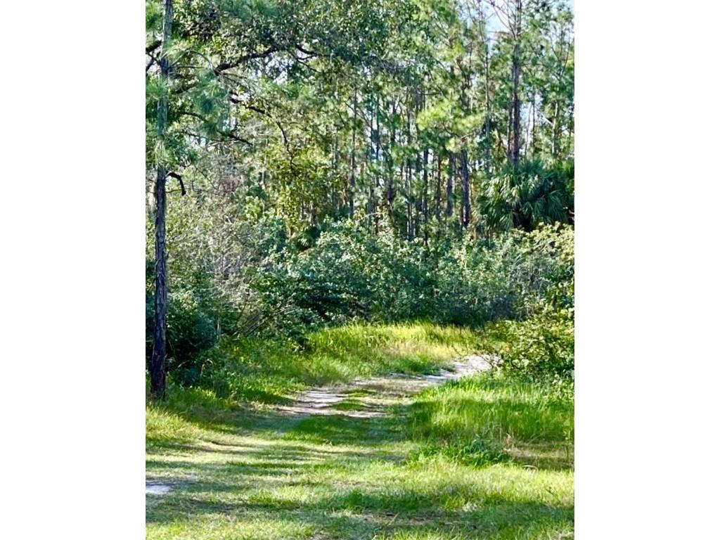 1011 Indian Lake Drive Indian Lake Estates FL 33855 TB8363160 image3