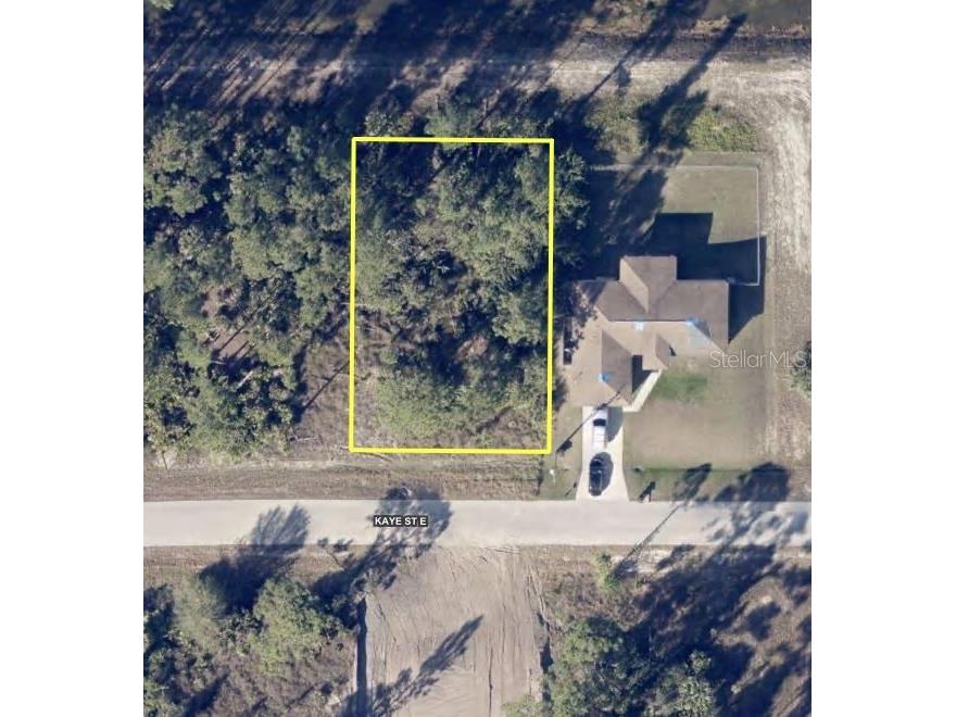 1011 Kaye Street E Lehigh Acres FL 33974 T3519016 image1