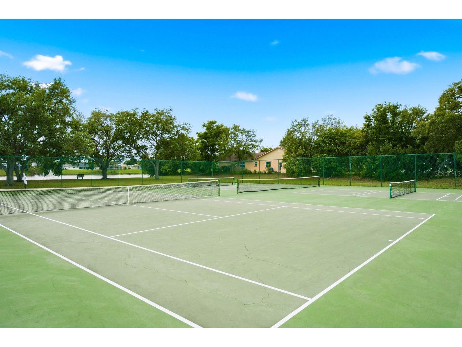 1011 Ridge Drive Palm Harbor FL 34683 TB8495674 image45