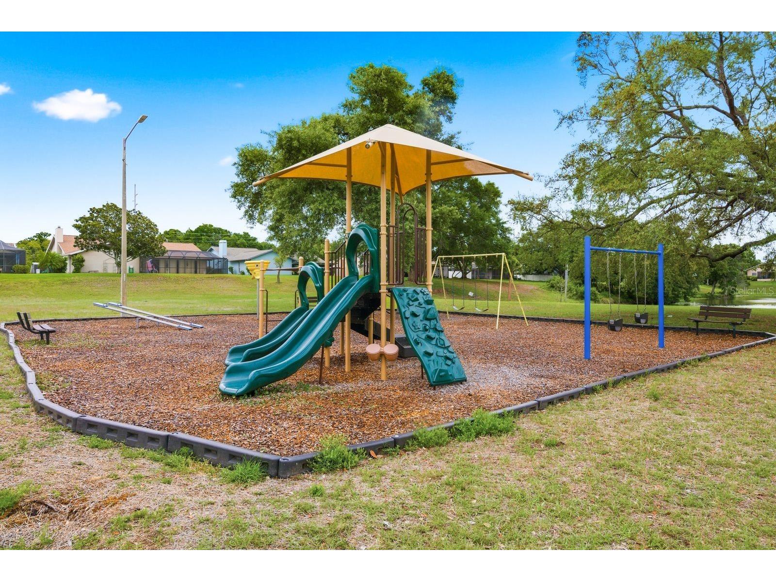 1011 Ridge Drive Palm Harbor FL 34683 TB8495674 image46
