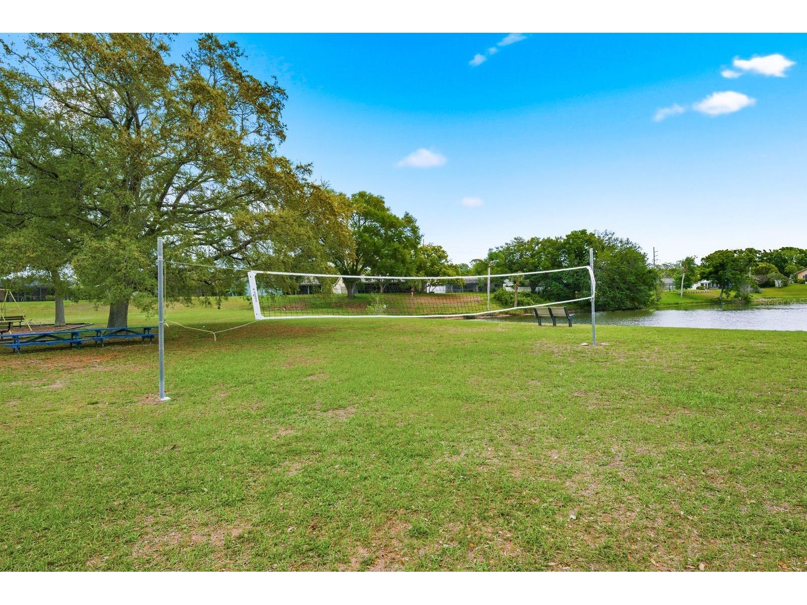 1011 Ridge Drive Palm Harbor FL 34683 TB8495674 image47