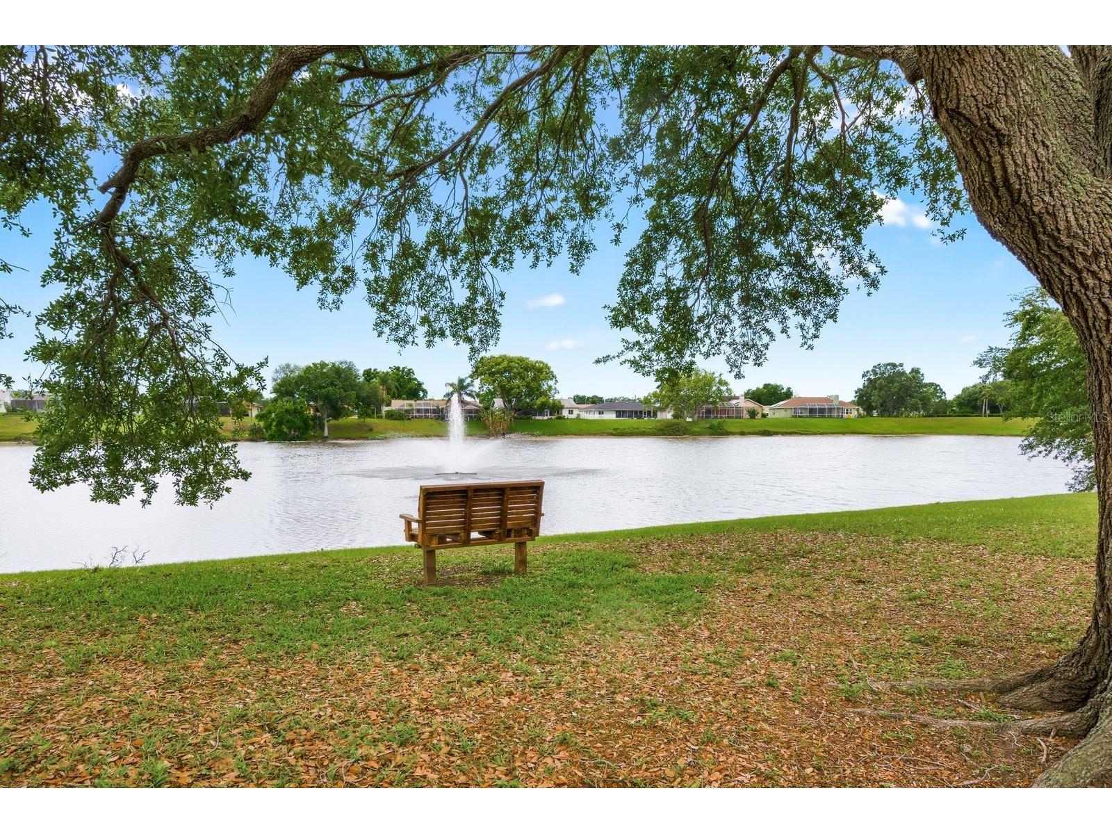 1011 Ridge Drive Palm Harbor FL 34683 TB8495674 image48