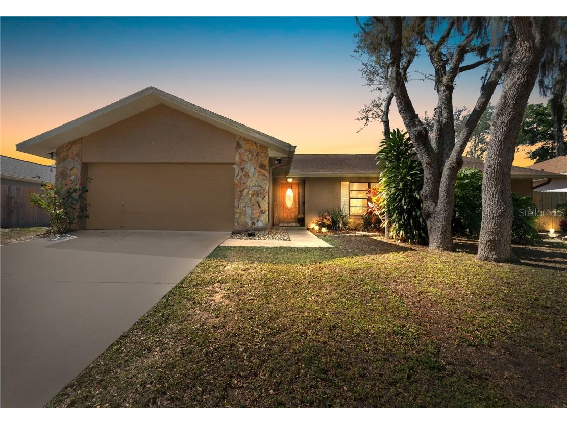 1011 Riflecrest Avenue Valrico FL 33594 T3513142 image1