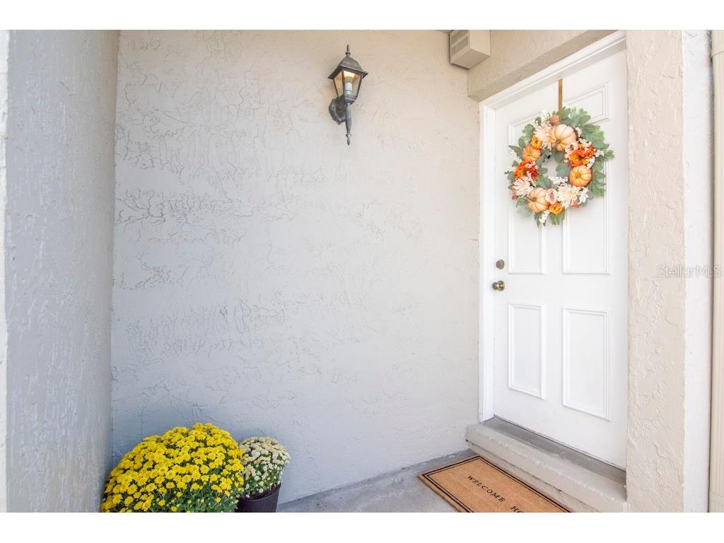 1011 S Moody Avenue #11 Tampa FL 33629 T3413706 image1