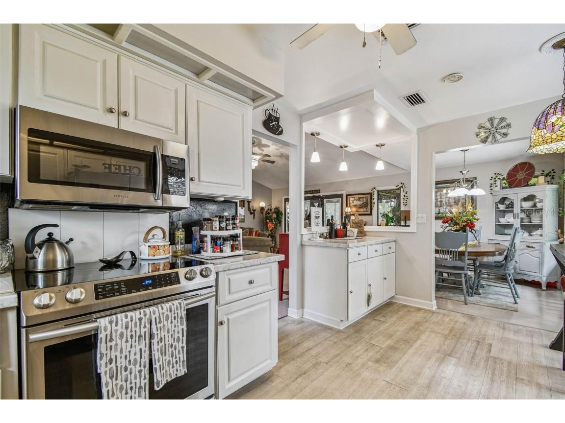 1011 S Pointe Alexis Drive Tarpon Springs FL 34689 - LAKE AVOCA TB8420782 image17