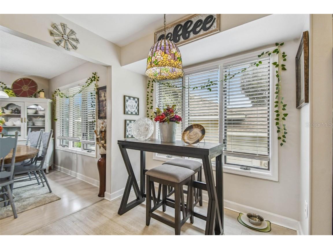 1011 S Pointe Alexis Drive Tarpon Springs FL 34689 - LAKE AVOCA TB8420782 image20