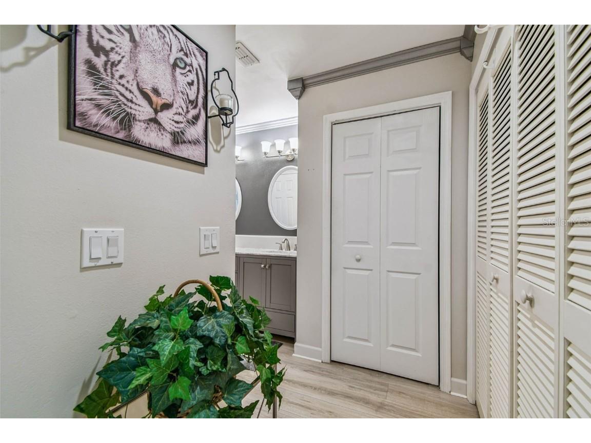 1011 S Pointe Alexis Drive Tarpon Springs FL 34689 - LAKE AVOCA TB8420782 image28