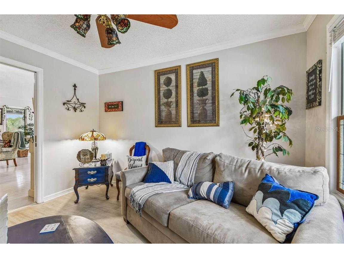 1011 S Pointe Alexis Drive Tarpon Springs FL 34689 - LAKE AVOCA TB8420782 image34