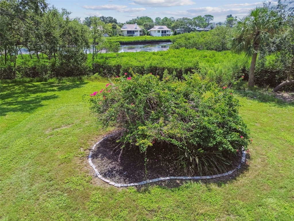 1011 S Pointe Alexis Drive Tarpon Springs FL 34689 - LAKE AVOCA TB8420782 image59