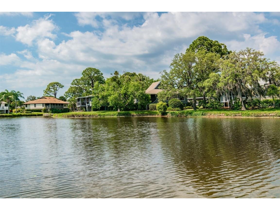 1011 S Pointe Alexis Drive Tarpon Springs FL 34689 - LAKE AVOCA TB8420782 image67