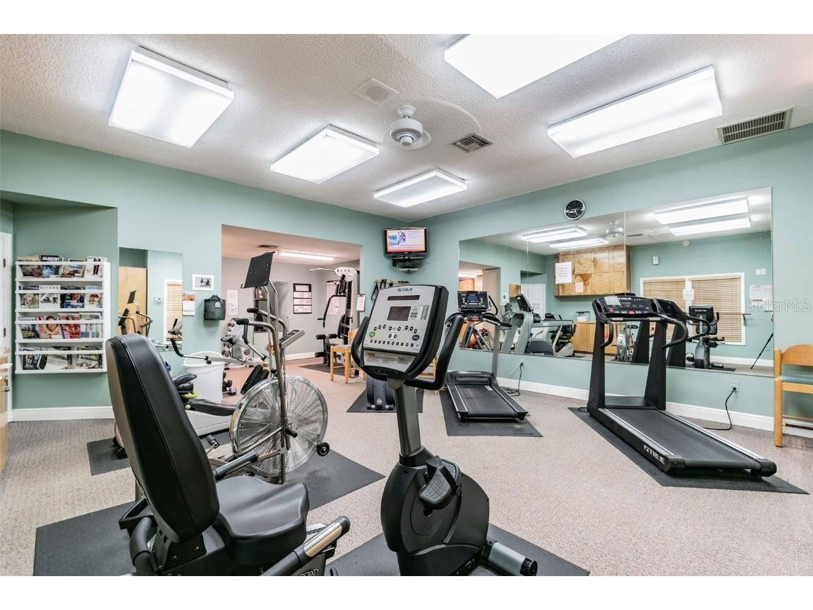 1011 S Pointe Alexis Drive Tarpon Springs FL 34689 - LAKE AVOCA TB8420782 image76